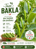 Taze Bakla (kg)